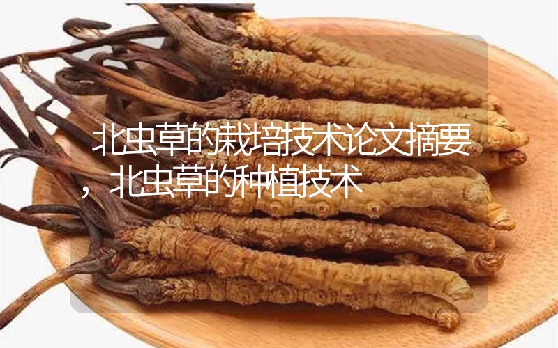 北蟲(chóng)草的栽培技術(shù)論文摘要，北蟲(chóng)草的種植技術(shù)