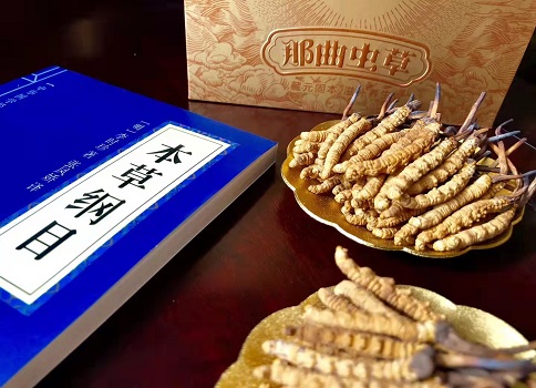 冬蟲夏草真就那么好嗎？它的主要功能是什么呀