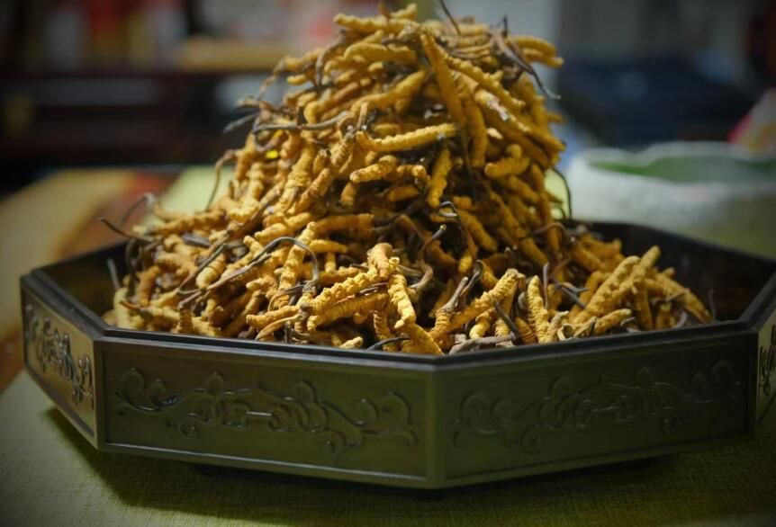 <a href=http://m.dxpav.com/ target=_blank class=infotextkey>冬蟲夏草</a>