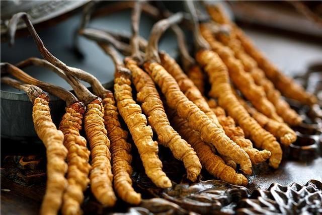 冬蟲夏草的處理流程