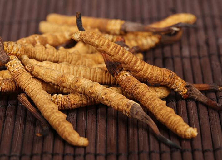 什么樣的冬蟲夏草算是優(yōu)質(zhì)的？