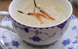 冬蟲(chóng)夏草燉燕窩怎么做？