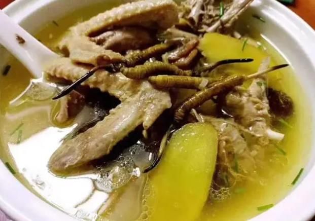 冬蟲(chóng)夏草和哪些食材可以一起煲湯？