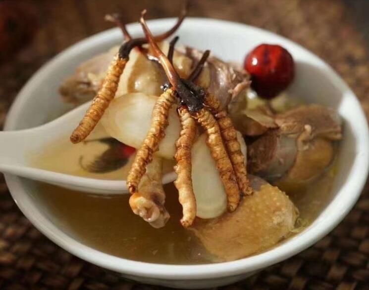 冬蟲夏草可以空腹吃嗎？