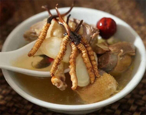 冬蟲夏草可以燉海鯽魚嗎？