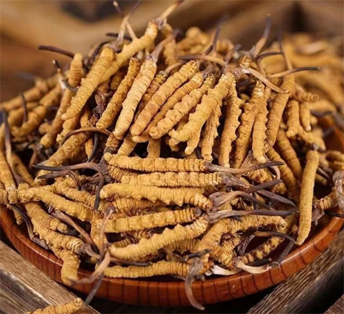 常見(jiàn)的3種冬蟲夏草煲湯詳細(xì)做法