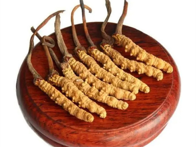 老人能吃冬蟲(chóng)夏草嗎？老年人食用冬蟲(chóng)夏草的4個(gè)好處