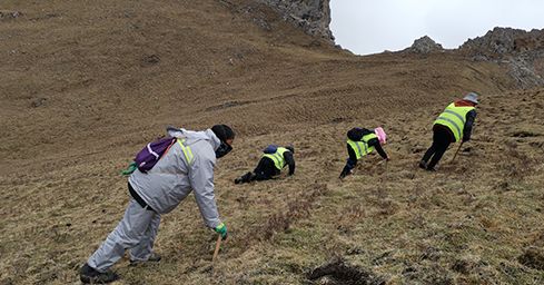 <a href=http://m.dxpav.com/sdph/zf/ target=_blank class=infotextkey>珍峰冬蟲夏草</a>:源自世界屋脊的養(yǎng)生瑰寶