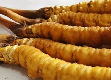 <a href=http://m.dxpav.com/sdph/zf/ target=_blank class=infotextkey>珍峰冬蟲夏草</a>主要的銷售模式