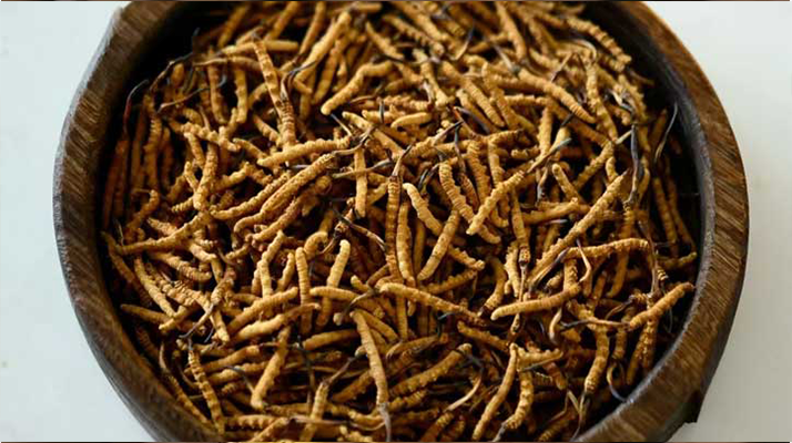 <a href=http://m.dxpav.com/ target=_blank class=infotextkey>冬蟲夏草</a>真?zhèn)伪鎰e全攻略：五招識破 “李鬼”