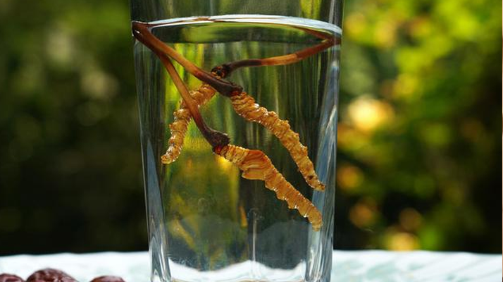 <a href=http://m.dxpav.com/xinxian/ target=_blank class=infotextkey>鮮冬蟲夏草</a>怎么泡好吃？這些配方讓滋補(bǔ)更有滋味