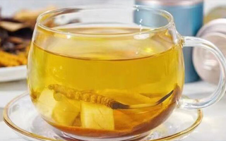 新鮮冬蟲夏草能泡茶嗎？一文讀懂養(yǎng)生新方式