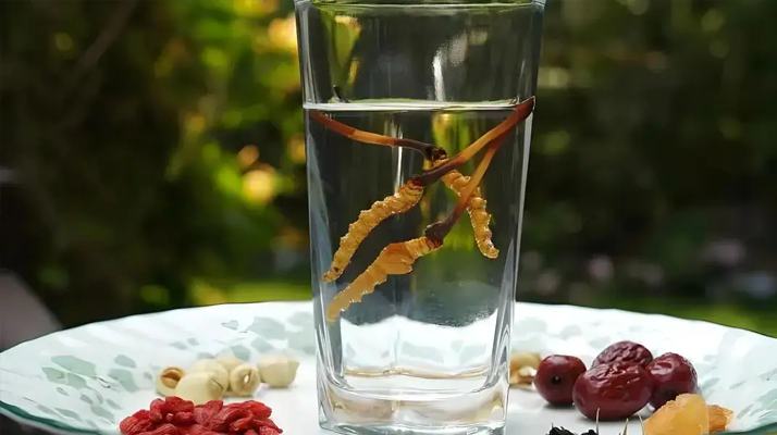 冬蟲夏草鮮品泡酒：養(yǎng)生佳釀還是健康隱患？