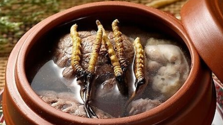 鮮冬蟲夏草吃多會(huì)上火嗎？一文解析真相