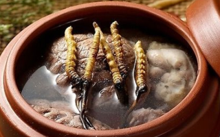 鮮冬蟲夏草吃多會(huì)上火嗎？一文解析真相