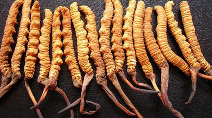 純野生<a href=http://m.dxpav.com/jiage/ target=_blank class=infotextkey>冬蟲夏草多少錢</a>一克？?jī)r(jià)格背后的秘密?