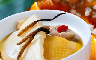 冬蟲夏草每天什么時候吃最好？一文詳解最佳食用時間