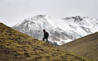 冬蟲(chóng)夏草適合在什么地方生長(zhǎng)