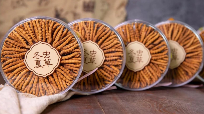 同仁堂<a href=http://m.dxpav.com/chanpin/ target=_blank class=infotextkey>冬蟲夏草禮盒</a>：珍稀饋贈，品質(zhì)之選