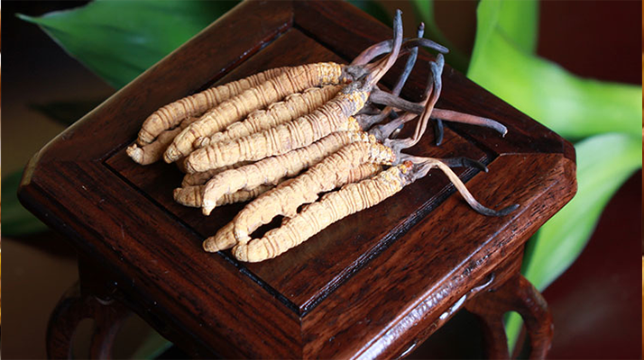 怎樣鑒別<a href=http://m.dxpav.com/tag/6.html target=_blank class=infotextkey>冬蟲夏草的產(chǎn)地</a>