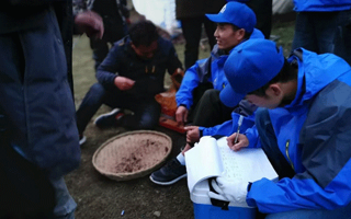 冬蟲夏草的一克究竟有多少根？揭秘珍稀中的奧秘