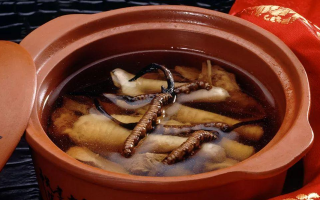 糖尿病可服用冬蟲夏草嗎？科學(xué)解析其調(diào)理價(jià)值與注意事項(xiàng)