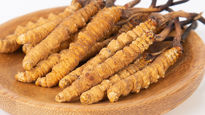 冬蟲(chóng)夏草，真有那么大效果？