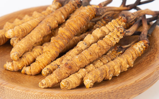 冬蟲(chóng)夏草，真有那么大效果？