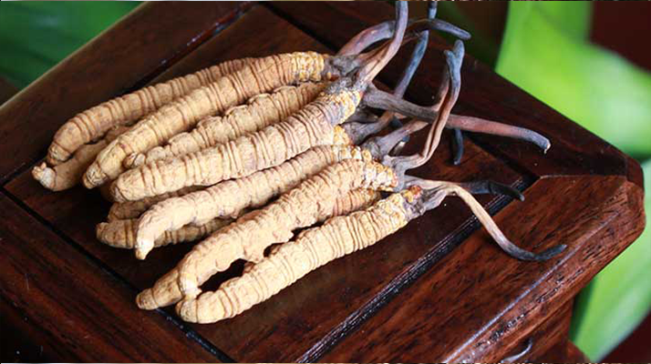 長(zhǎng)期干咳如何吃冬蟲(chóng)夏草：潤(rùn)肺止咳的科學(xué)食用指南