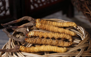 冬蟲夏草煲湯怎么煲好喝？營(yíng)養(yǎng)與口感雙優(yōu)的實(shí)用指南