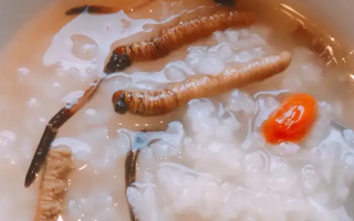 冬蟲夏草適合哪些人群？精準(zhǔn)匹配與禁忌提醒