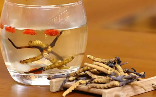 長期喝冬蟲夏草泡水好嗎？科學(xué)分析與飲用指南