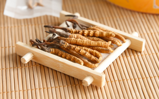 冬蟲夏草老鴨湯怎么燉？鮮香滋補的詳細(xì)做法與技巧