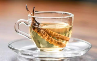 一瓶酒泡多少冬蟲夏草？科學搭配有講究