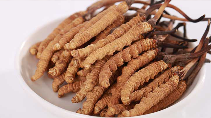 冬蟲夏草一公斤多少錢？多因素交織下的價(jià)格密碼