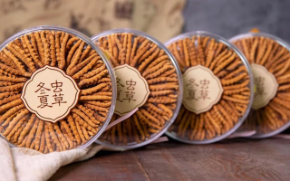 把握黃金時(shí)段！冬蟲夏草在這些時(shí)候吃效果更佳