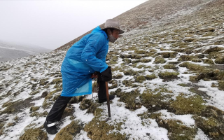 西藏挖冬蟲夏草在什么時候？產(chǎn)區(qū)與時間全攻略