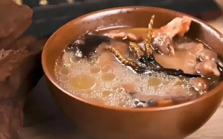 冬蟲夏草治什么病效果好？厘清輔助調(diào)理邊界與適用場景