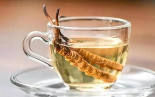十根冬蟲夏草泡多少酒？科學配比與實操指南