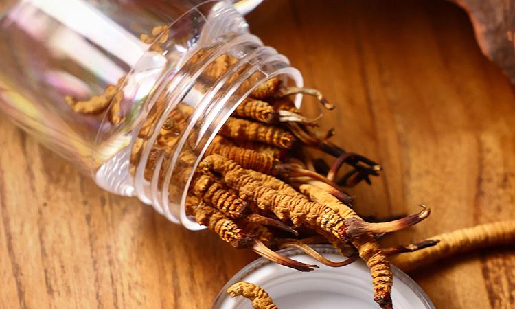 <a href=http://m.dxpav.com/jiage/ target=_blank class=infotextkey>冬蟲(chóng)夏草多少錢(qián)</a>一條 