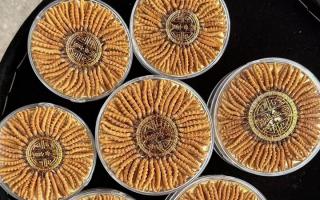 什么白酒適合泡冬蟲夏草？4 大標(biāo)準(zhǔn) + 泡制指南