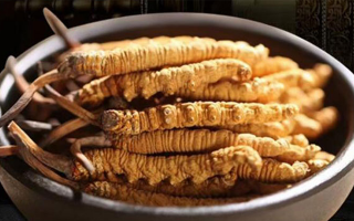 冬蟲夏草掰開后什么樣？從斷面細(xì)節(jié)識破品質(zhì)與真?zhèn)?> </div>
            <div   id=