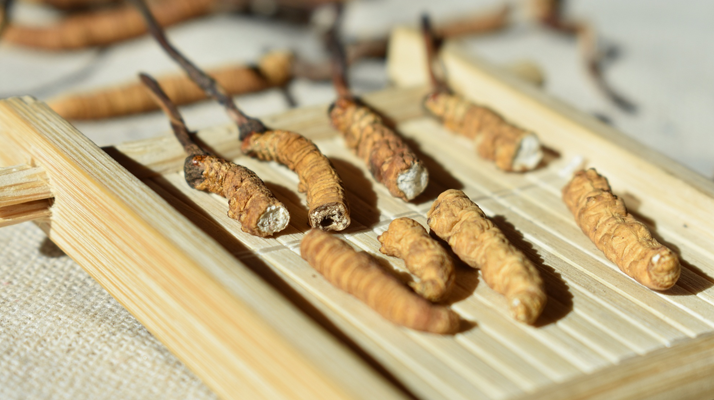 斷的<a href=http://m.dxpav.com/ target=_blank class=infotextkey>冬蟲夏草</a>一克啥價