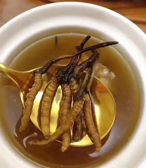 冰糖燉冬蟲夏草的做法，有什么功效?