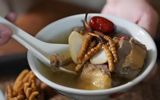 冬蟲夏草和什么一起燉可以治咳嗽？