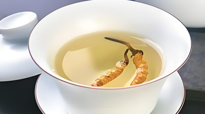 鮮冬蟲夏草可以煮水喝嗎？有什么功效和作用？